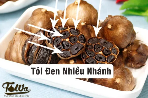 Tỏi Đen Nhiều Nhánh