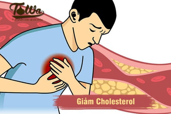 Tỏi Đen Làm Giảm Cholesterol