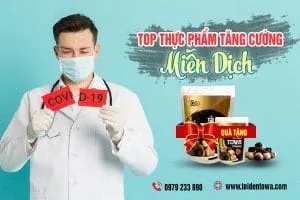 Thực phẩm tăng cường hệ miễn dịch