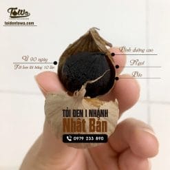 Tỏi đen Towa Nhật Bản