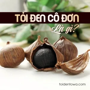 tỏi đen cô đơn