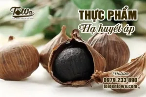 Thục Phẩm Hạ Huyết Áp