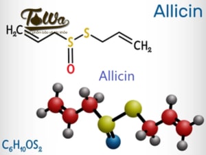 Allicin trong tỏi đen
