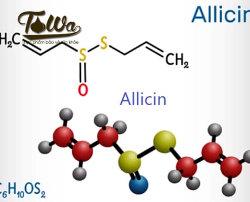 Allicin trong tỏi đen