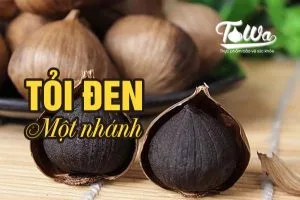 Tỏi đen một nhánh